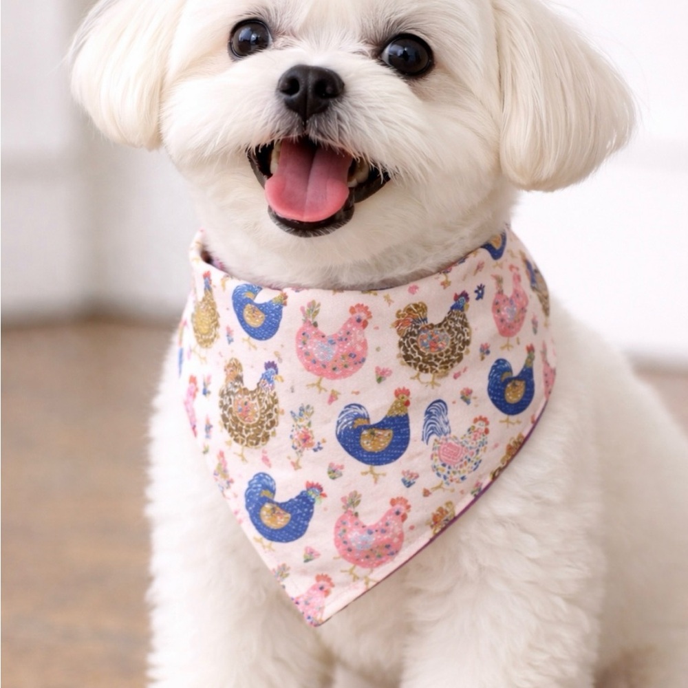 Fancy Flock  Chicken Print Dog Bandana
